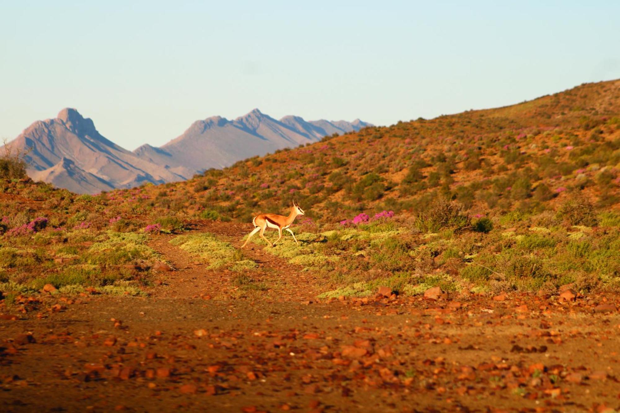 Bosch Luys Kloof Nature Reserve Ladismith Exterior photo